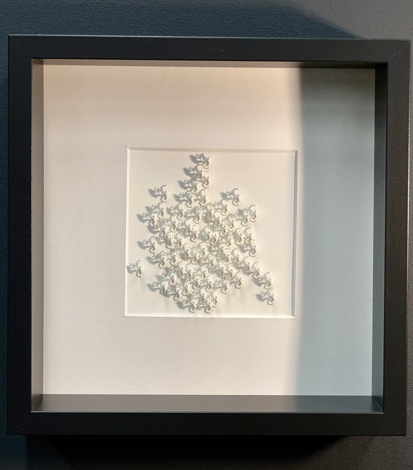 Model Peloton