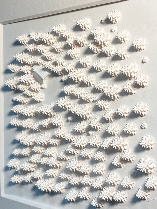Model forêt